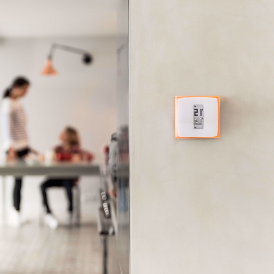 Netatmo thermostat google store home