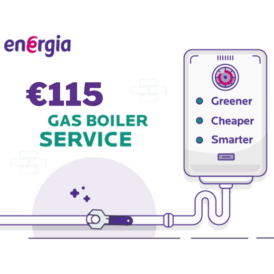 Gas boiler service for 115 euros 